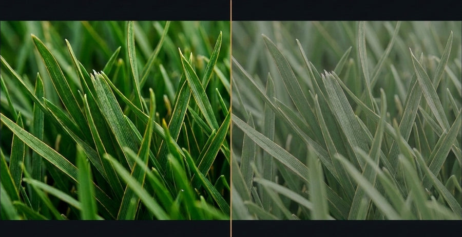 Close-up of grass blades side by side: on the left the grain and sheen are clearly readable, on the right a polarized lens has flattened them away
