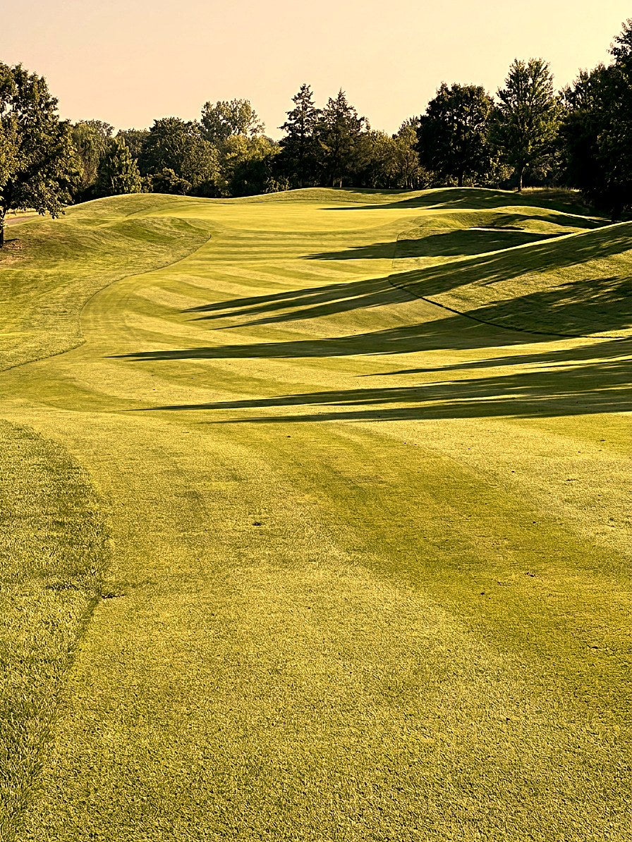 The same golf course seen through a copper lens
